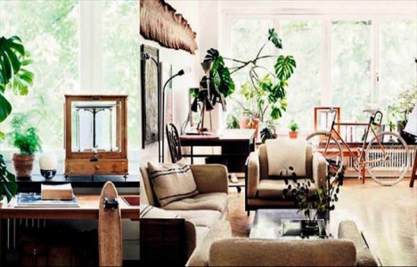 Dekorasyonda yeni trend bitkiler!