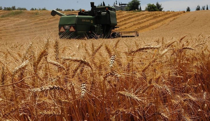 Çiftçilerden buğday için 7 lira talebi! İşte 9 Mayıs 2022 güncel buğday fiyat listesi...