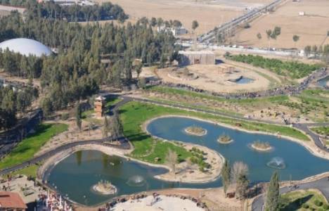 İzmir Doğal Yaşam Parkı'nda Güney Amerika habitatı oluşturulacak!