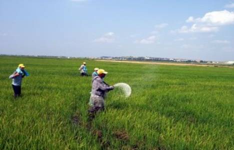 İSKİ tarım alanına arıtma tesisi yapacak!