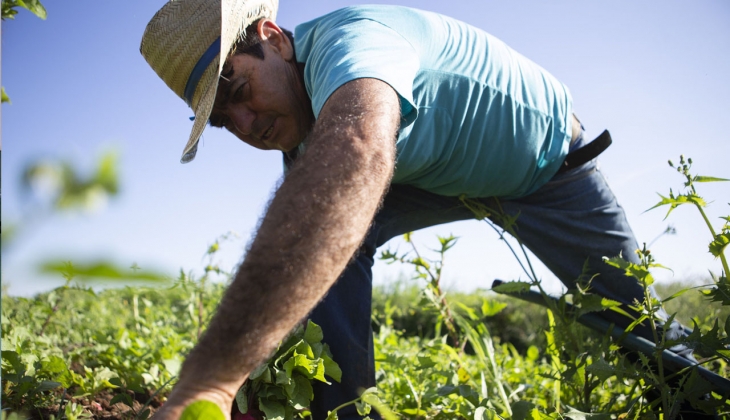 Çiftçiler dikkat! 11 Milyar hibe verilecek