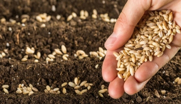 Tohumculuk sektörü AR-GE faaliyetlerini giderek artıracak