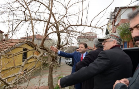 Maltepe Gülsuyu ve Gülensu'ya Dikmen Vadisi önerisi!