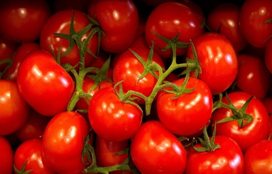 İdlib gerginliği Rusya’ya domates sevkiyatını vurdu!