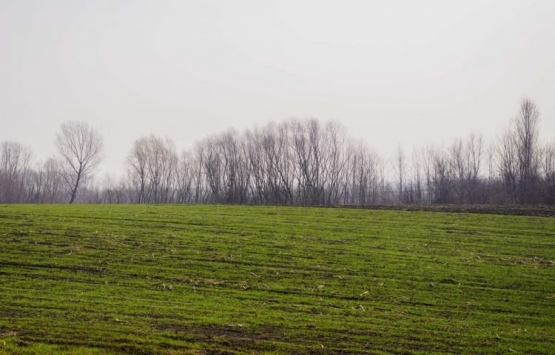 Sulama alanlarında tarım dışı amaçla arazi kullanımına yönelik düzenleme!