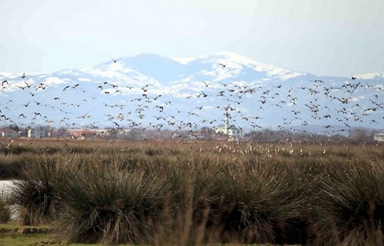 Sit alanları ve milli parklar imara açılıyor mu?
