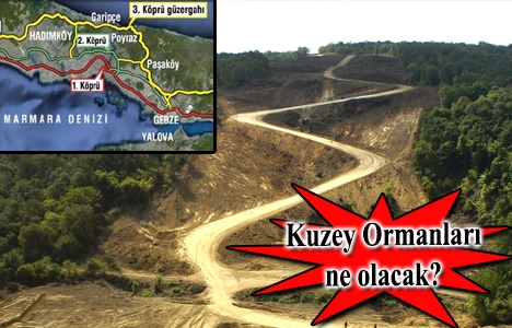 3. köprü güzergahındaki ormana otel ve AVM mi yapılacak?