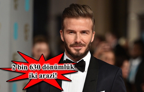 David Beckham, ABD'deki stadı için arazi aldı!