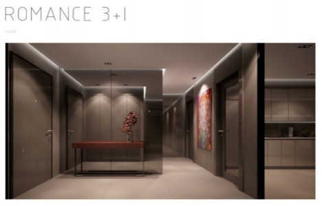 Demir Romance örnek daire!