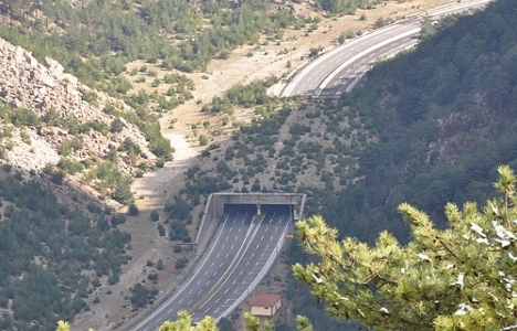 3. Köprü yoluna ekolojik köprü şartı!