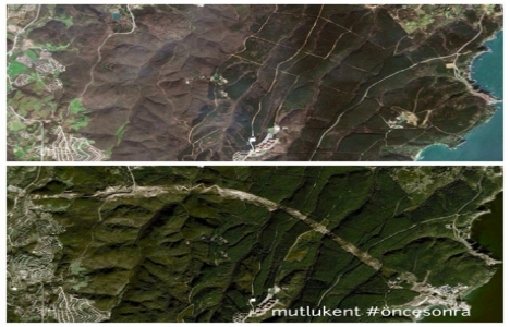 10 yıl önce 10 yıl sonra İstanbul! İşte Google Earth fotoğrafları!