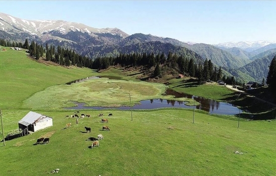 3 ildeki 15 yaylanın imara açılması kararı meclis gündeminde!