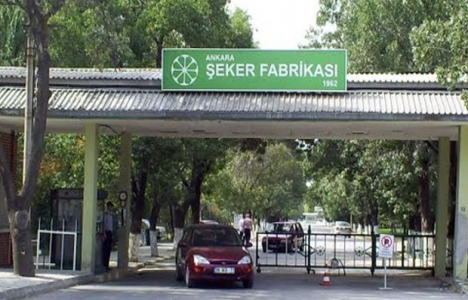 Ankara Şeker Fabrikası Polatlı'ya taşınacak mı?