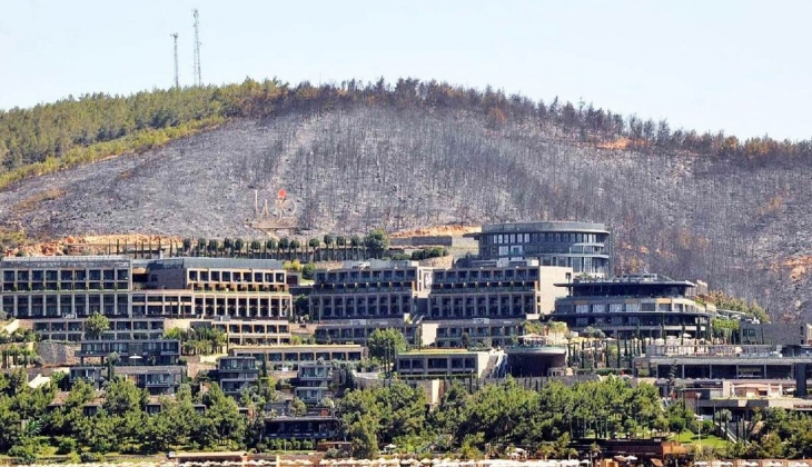 Muğla da 17 yıl önce küle dönen 25 bin metrekarelik orman arazisine lüks konutlar yapılıyor!