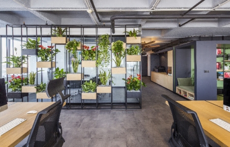 The Business Year: Slash Architects’ten doğa dostu ofis tasarımı!