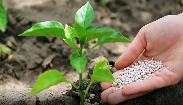 Tarım Kredi açıkladı! Bazı gübre çeşitlerinde ton başına 400 lira indirime gidecek