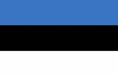 Estonyalılar Türkiye'den ev alabilir mi?