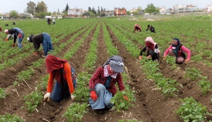 Üretmede zorlanan çiftçiye müjdeli haber! Bugün hesaplara yattı