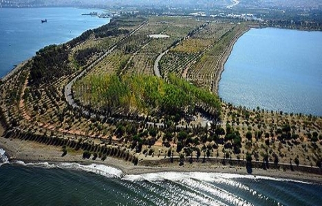 İzmir İnciraltı’ndaki 622 dönümlük alan kent ormanına dönüştü!