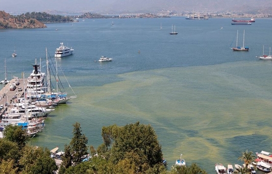 Fethiye deki kaçak beach club inşaatı durduruldu!
