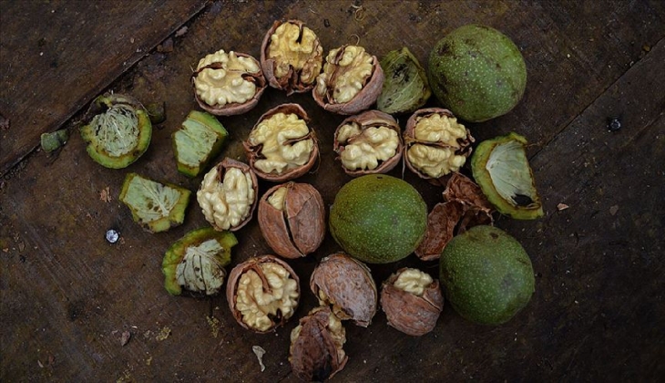 Ceviz piyasası hareketlendi! Kabuklu ceviz, ithal ince kabuk ve ceviz içi ne kadar? 2023 Serbest piyasada ceviz fiyatı..