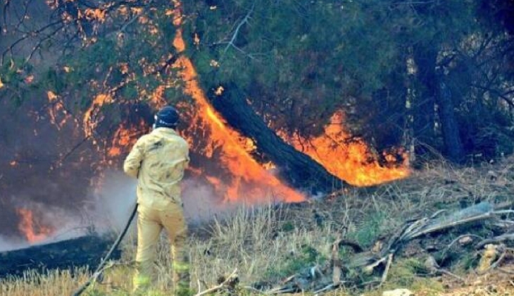 Çanakkale cayır cayır yanıyor! Son dakika: 7 ev hasar gördü, 9 köy boşaltındı, Çanakkale Boğazı kapatıldı!