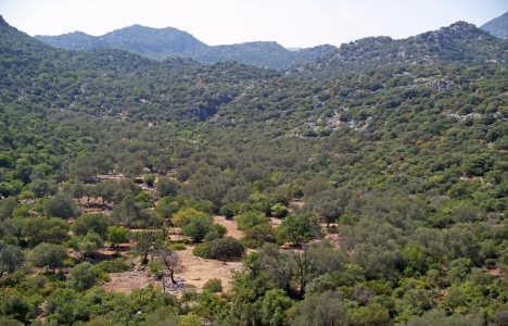 Antalya TVK Bölge Komisyonu 52. toplantı gündemi!