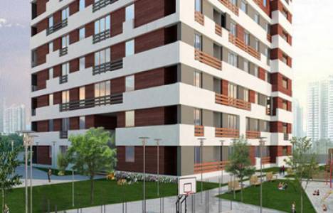 istanbul ensis nerede