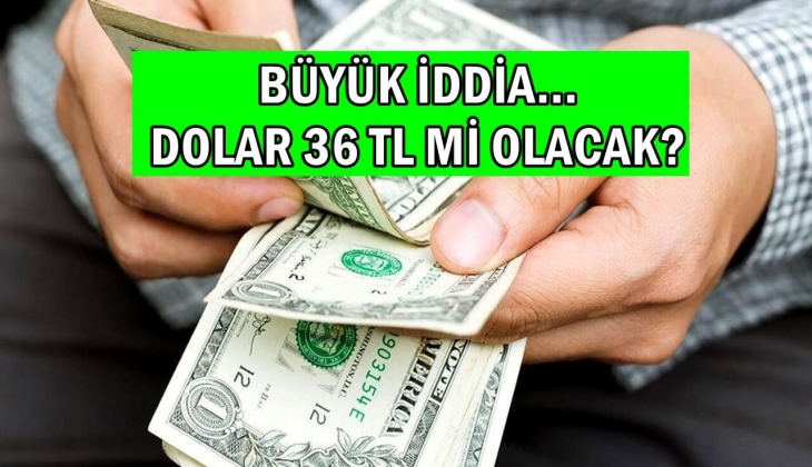 Dolar 36 TL mi olacak? İngiliz Yatırım Bankası'ndan öyle bir açıklama geldi ki... Görenlerin aklı başından gidecek
