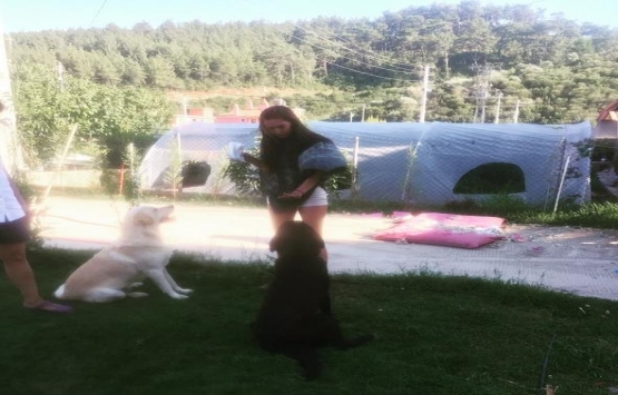 Kadir Doğulu ile Neslihan Atagül Kaz Dağları’nda arsa alıyor!