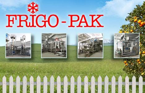 Frigo-Pak Gıda İnegöl OSB'de 4 milyon TL'ye gayrimenkul sattı!