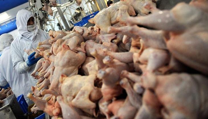 Yasak gelince fiyatlar tepetaklak oldu! İşte detaylar!