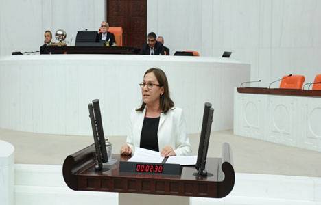 Sena Kaleli, 3. köprü ve havaalanı kamulaştırmaları için Meclis'e soru önergesi verdi!