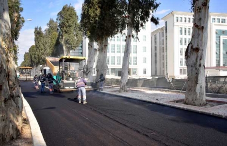 Adana Büyükşehir'den 7 milyon 500 bin metrekare asfalt yol!