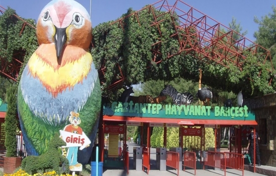 Gaziantep Hayvanat Bahçesi 15 Haziran'da yeniden açılacak!