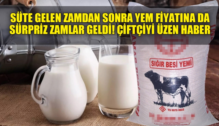 Çiftçiden alınan süte gelen zamlardan sonra yem fiyatlarına da zam geldi! 14 Mayıs yem çuvalı fiyat listesi