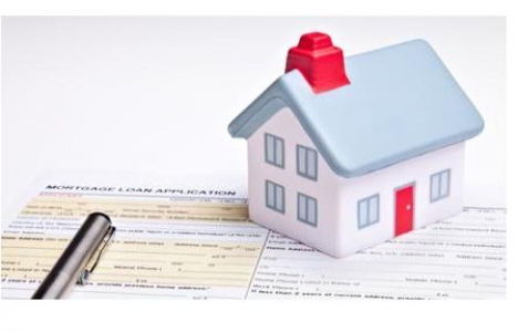 dairenin yüzde yüzüne kredi