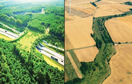 5 soruda ekolojik koridor projesi!