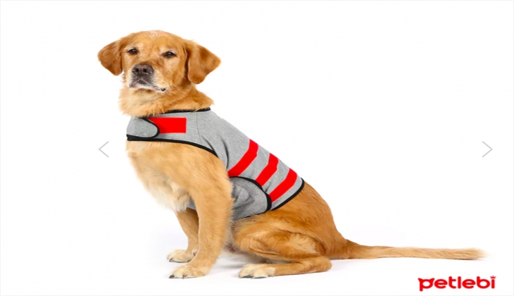 Patili dostlarına değer verenlerin adresi petlebi.com’da fırsat günleri! İşte 20 Eylül 2022 Petlebi fiyat listesi