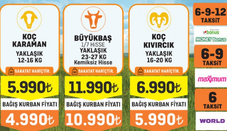 Migros kurbanlık fiyatlarını peş peşe açıkladı! Küçükbaş, büyükbaş kurbanlık fiyatları ne kadar?