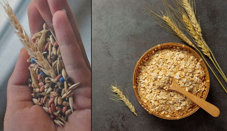 Buğday, arpa, mısır fiyatları yeni aya nasıl başladı? Çiftçiler hemen son dakika fiyatlara bakın!