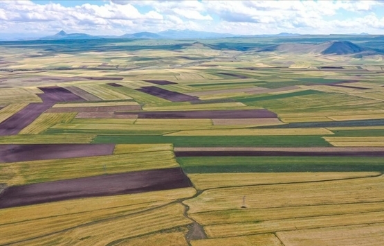 Arsa, tarla ve iş yeri satışları 2021 de rekor kırdı!