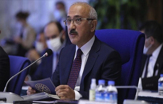 Hazine ve Maliye Bakanı Lütfi Elvan dan önemli döviz kuru mesajı!