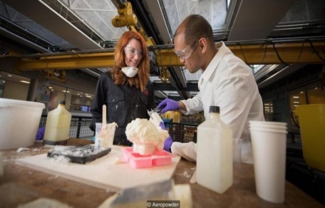 Tavuk tüyleri yalıtım malzemesi olarak kullanılabilir!