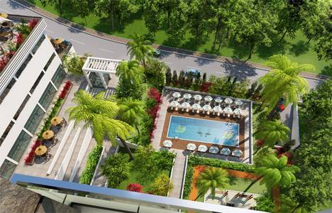 Sun Flamingo Güneşli görselleri!