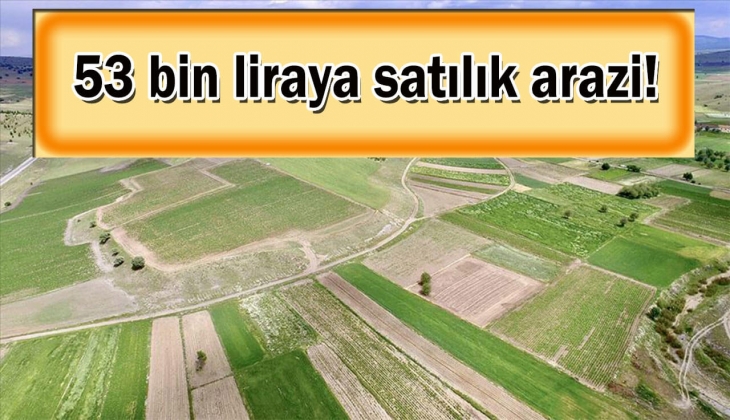 Milli Emlak o ilde 53 bin TL'ye arazi satıyor! Bu tarihi sakın kaçırmayın!