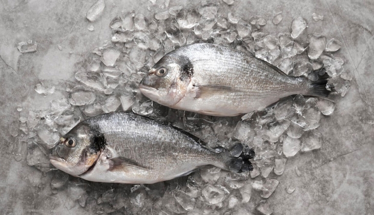 İstanbul Balık Hali 12 Mayıs fiyatları belli oldu! İşte İstanbul Balık Hali 12 Mayıs 2022 fiyat listesi...