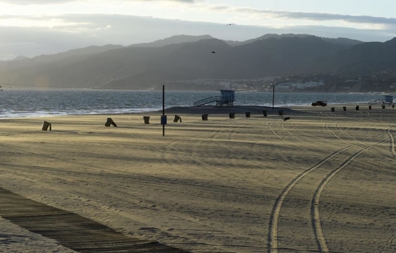 Los Angeles ta evsiz sayısı giderek artıyor!