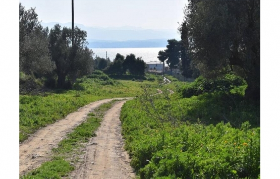 Beatles’ın almak istediği gitar şeklindeki ada satışa çıkarıldı!