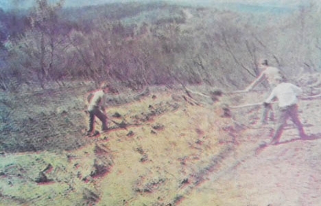 1980 yılında Azizpaşa Ormanı tamamen yanmış!